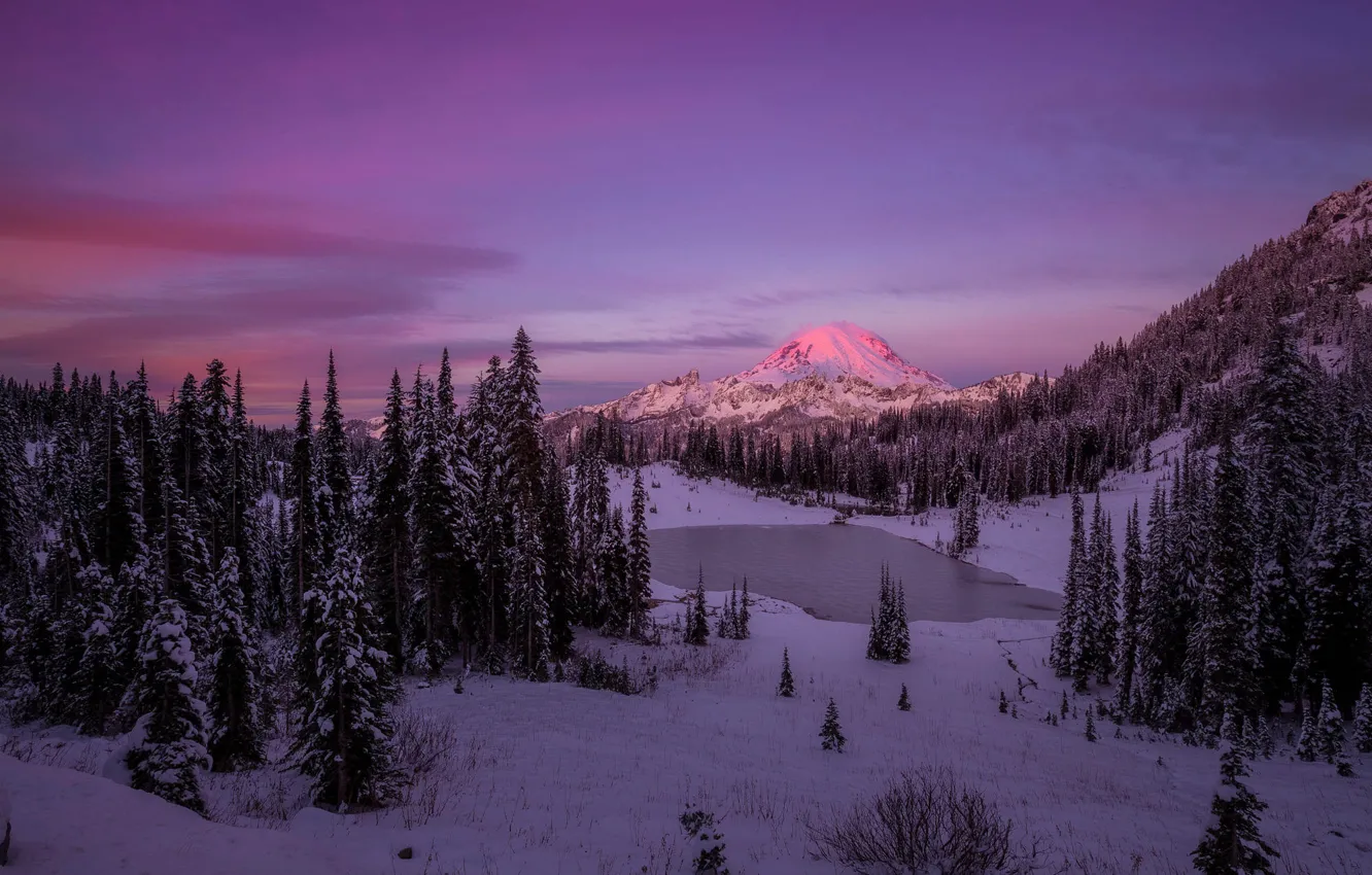 Photo wallpaper winter, forest, snow, sunset, mountains, Doug Shearer