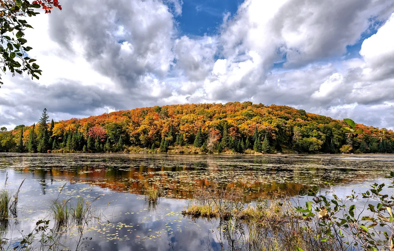 Photo wallpaper autumn, forest, the sky, clouds, trees, lake