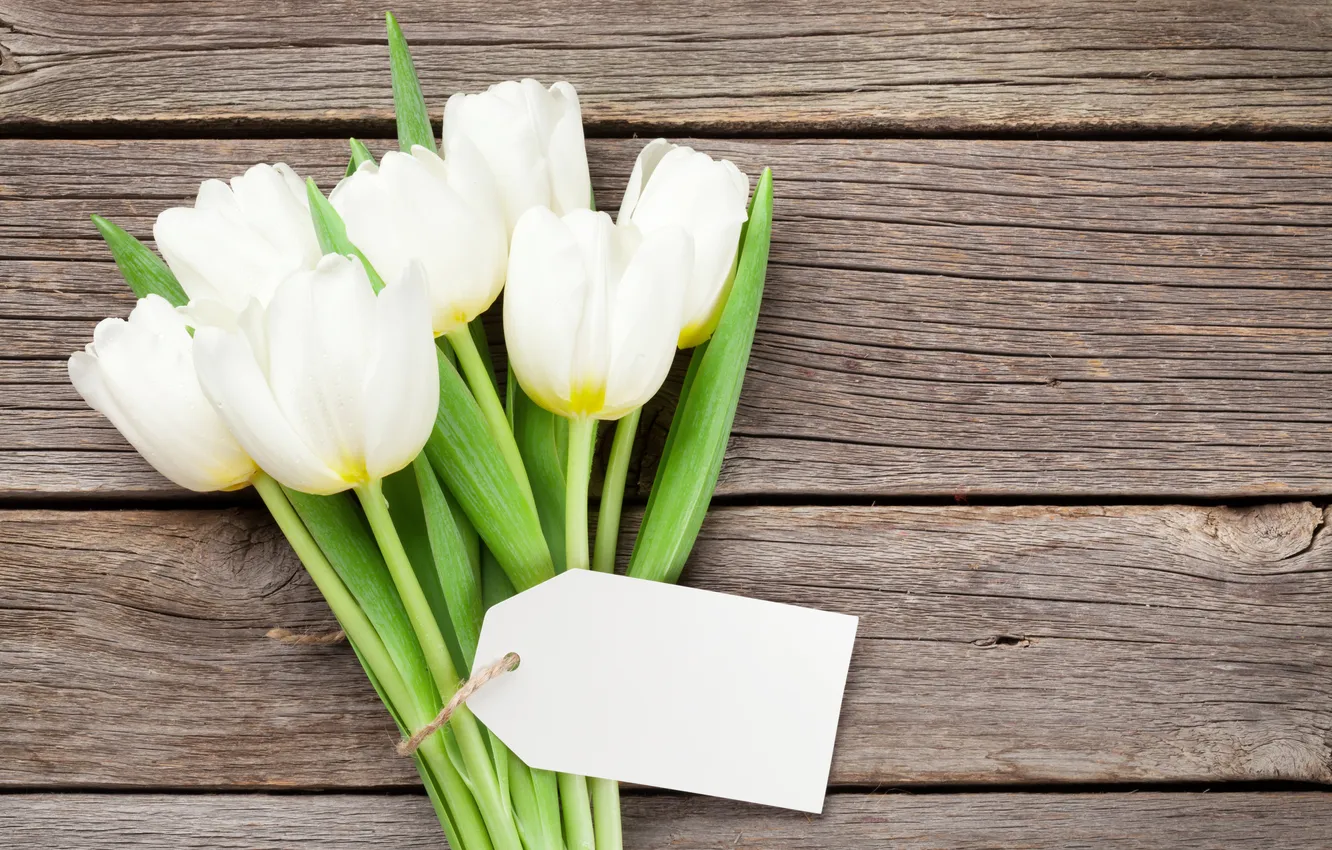 Photo wallpaper flowers, bouquet, tulips, white, wood, flowers, tulips, spring