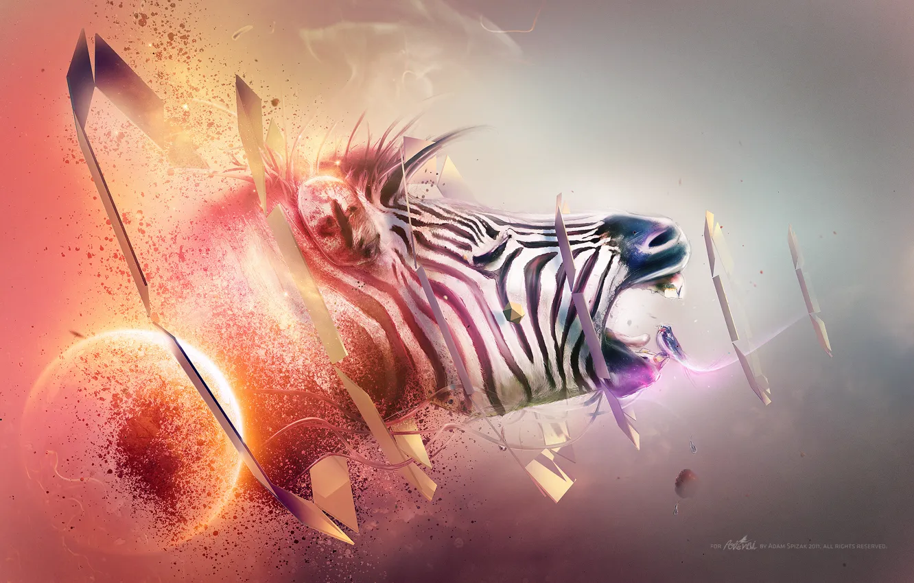 Photo wallpaper red, white, black, blue, orange, abstraction, purple, zebra