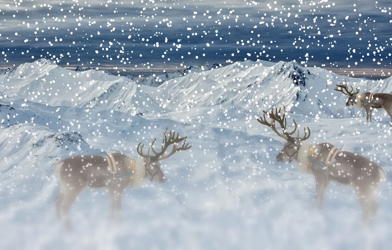 Photo wallpaper winter, the sky, snow, mountains, clouds, fog, rendering, tops