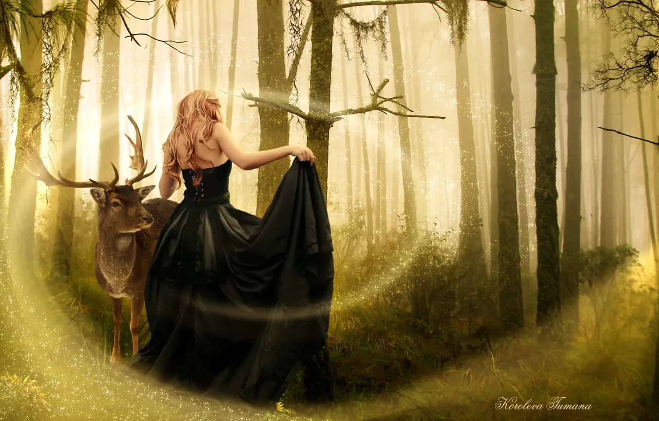 Photo wallpaper forest, girl, trees, animal, magic, back, dress, black
