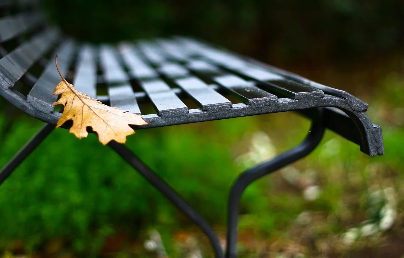 Photo wallpaper leaves, macro, bench, yellow, background, Wallpaper, blur, shop