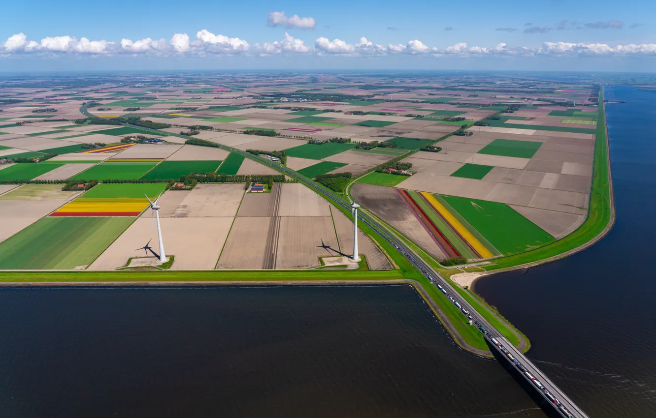 Photo wallpaper field, shore, pond, Flower Carpets, runina