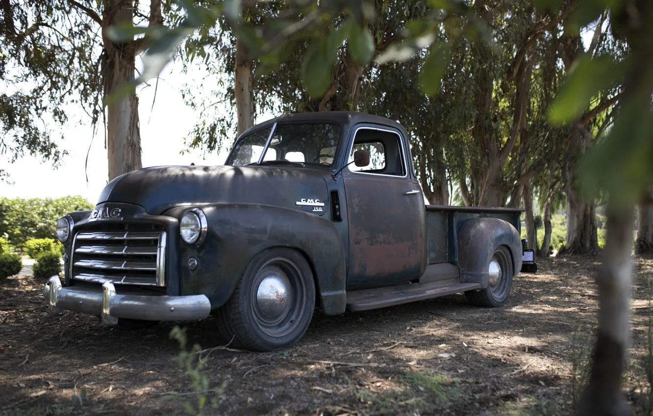 Photo wallpaper trees, earth, shadow, 150, pickup, 2018, GMC, 1949