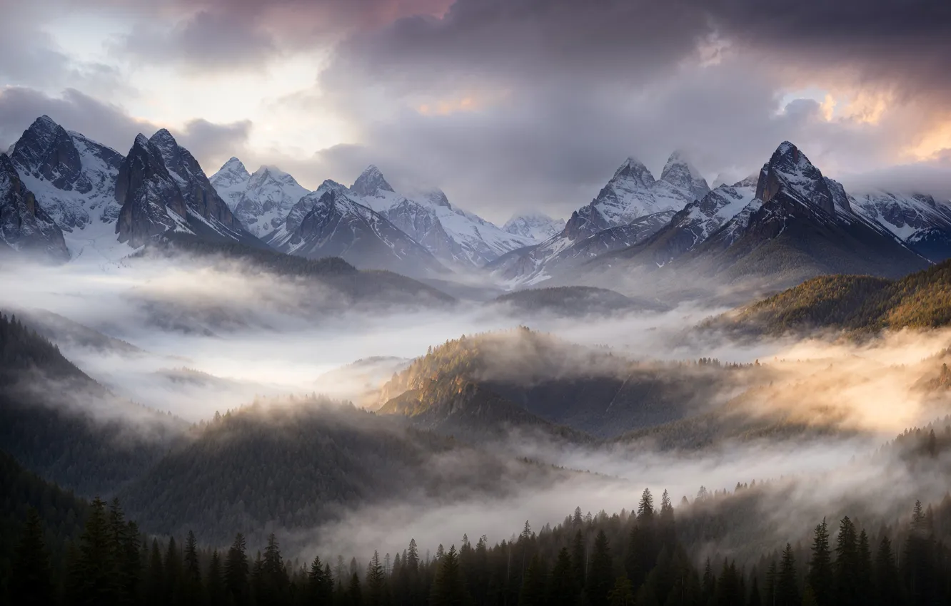 Photo wallpaper forest, clouds, snow, mountains, nature, fog, tops, morning