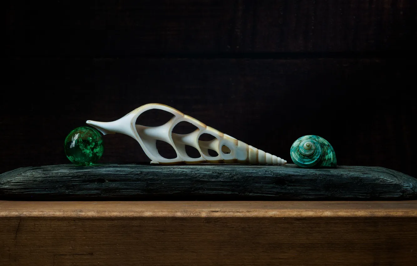 Photo wallpaper balls, Board, shell, still life