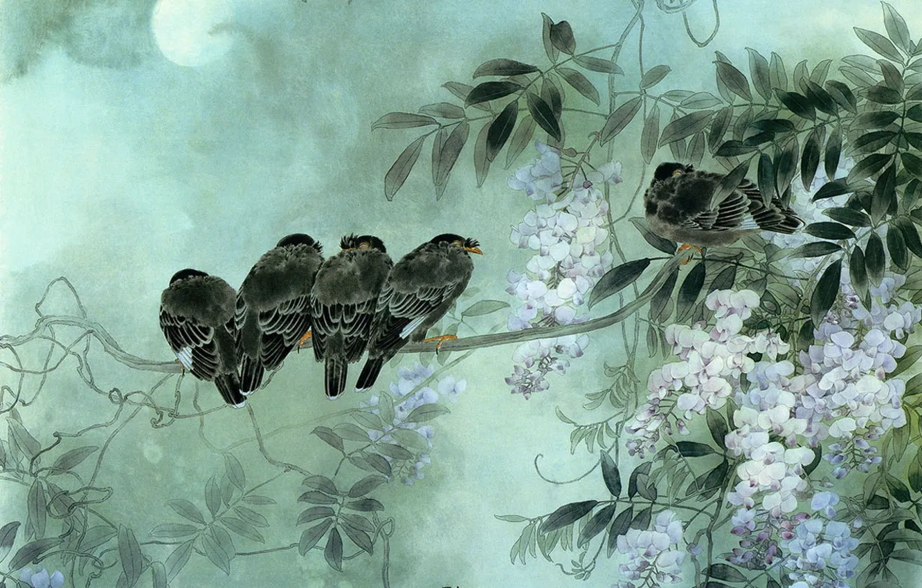 Photo wallpaper flowers, night, branches, bird, the moon, sleep, spring