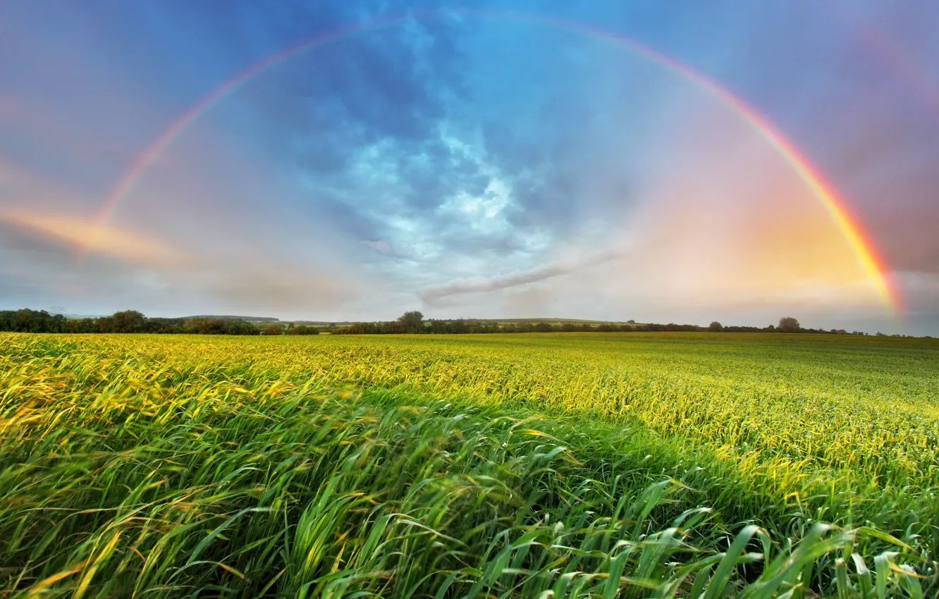 Photo wallpaper summer, grass, landscape, rainbow, space