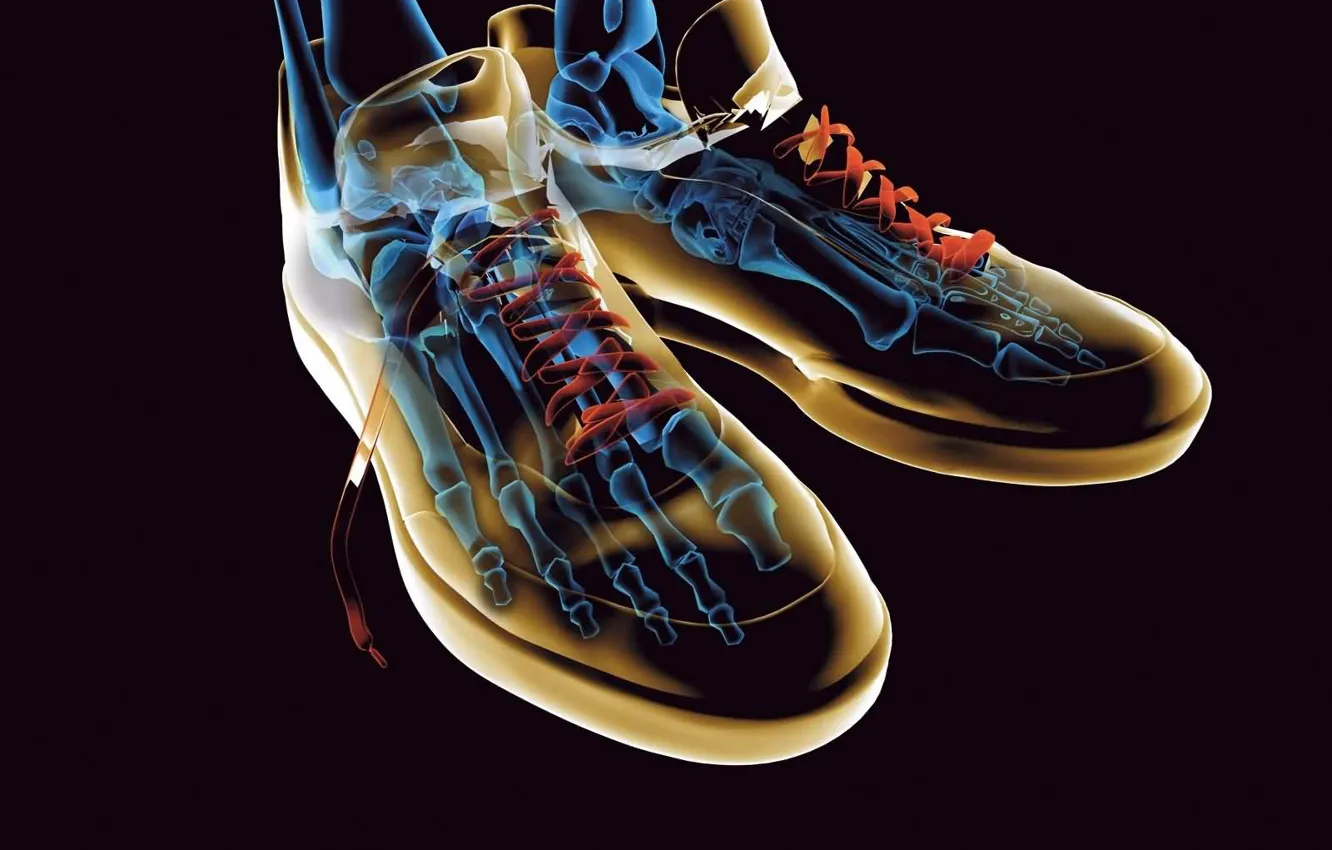 Photo wallpaper shoes, sneakers, skeleton, laces