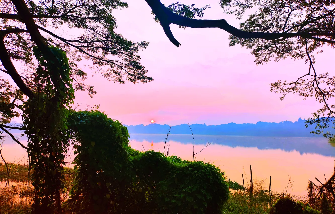 Photo wallpaper sky, trees, water, lake, morning, bushes, sunrise, dawn