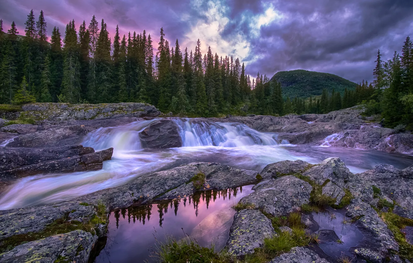 Photo wallpaper forest, the sky, water, clouds, river, the evening, Norway, threads