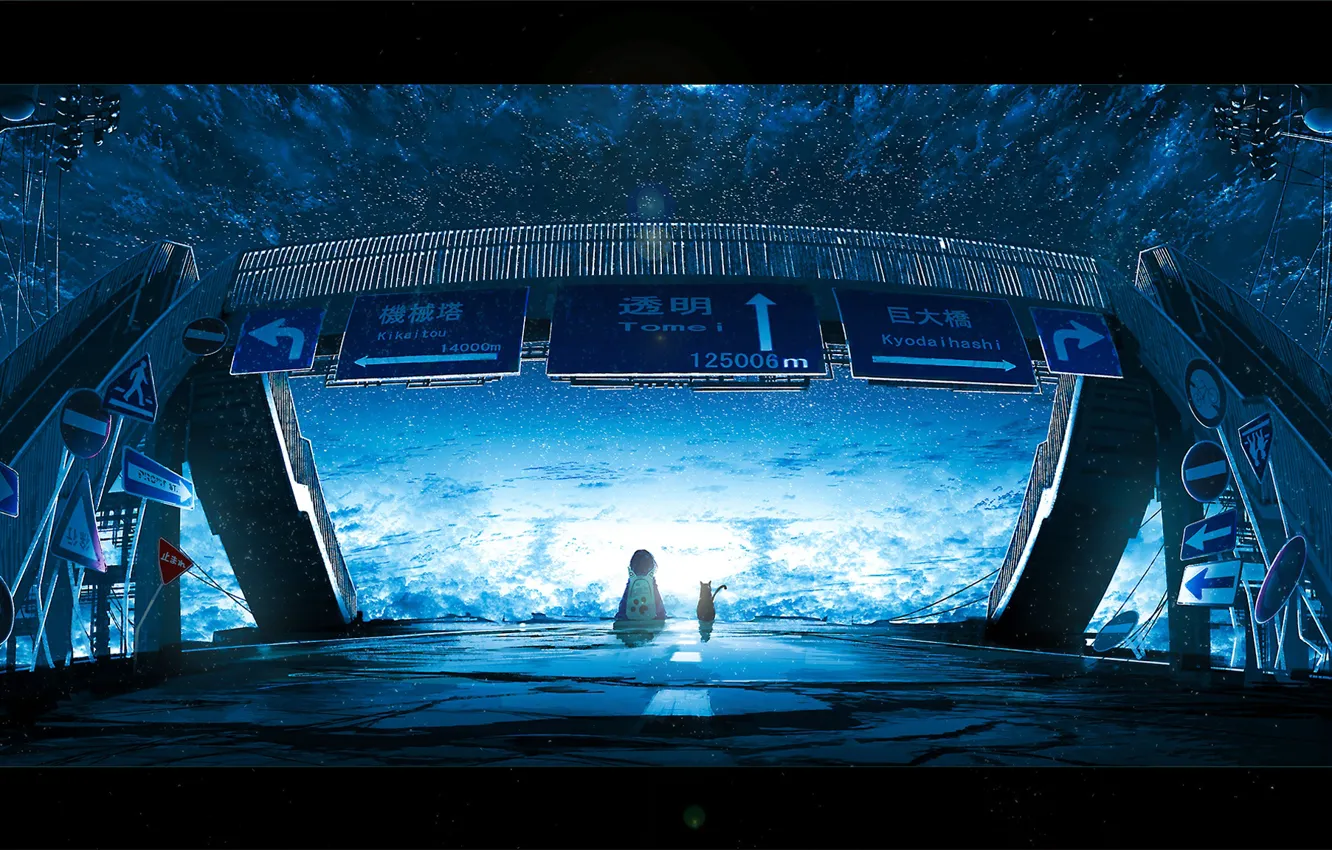 Photo wallpaper cat, the sky, night, bridge, sign, girl