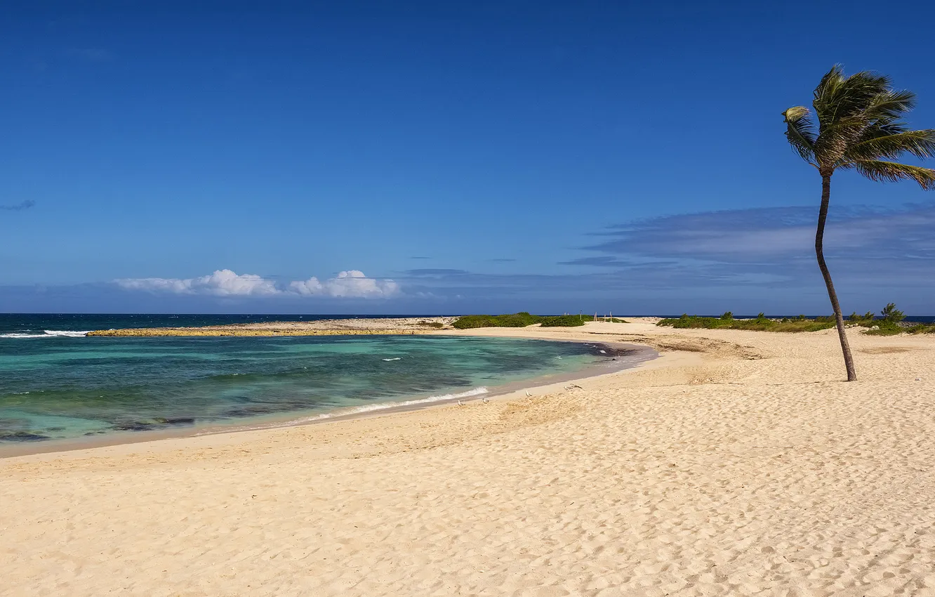 Photo wallpaper sand, sea, beach, blue, palm trees, the ocean, shore