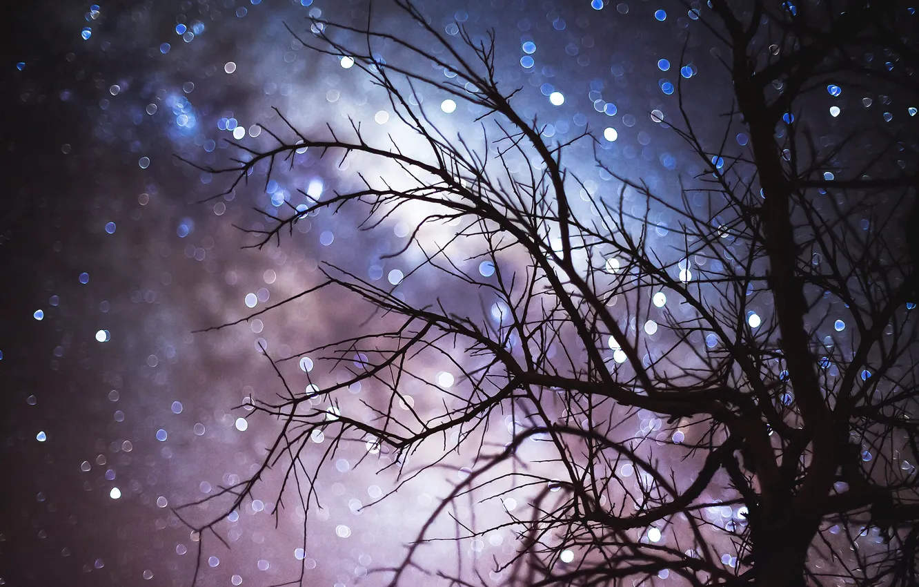 Photo wallpaper the sky, stars, trees, night, branches, bokeh