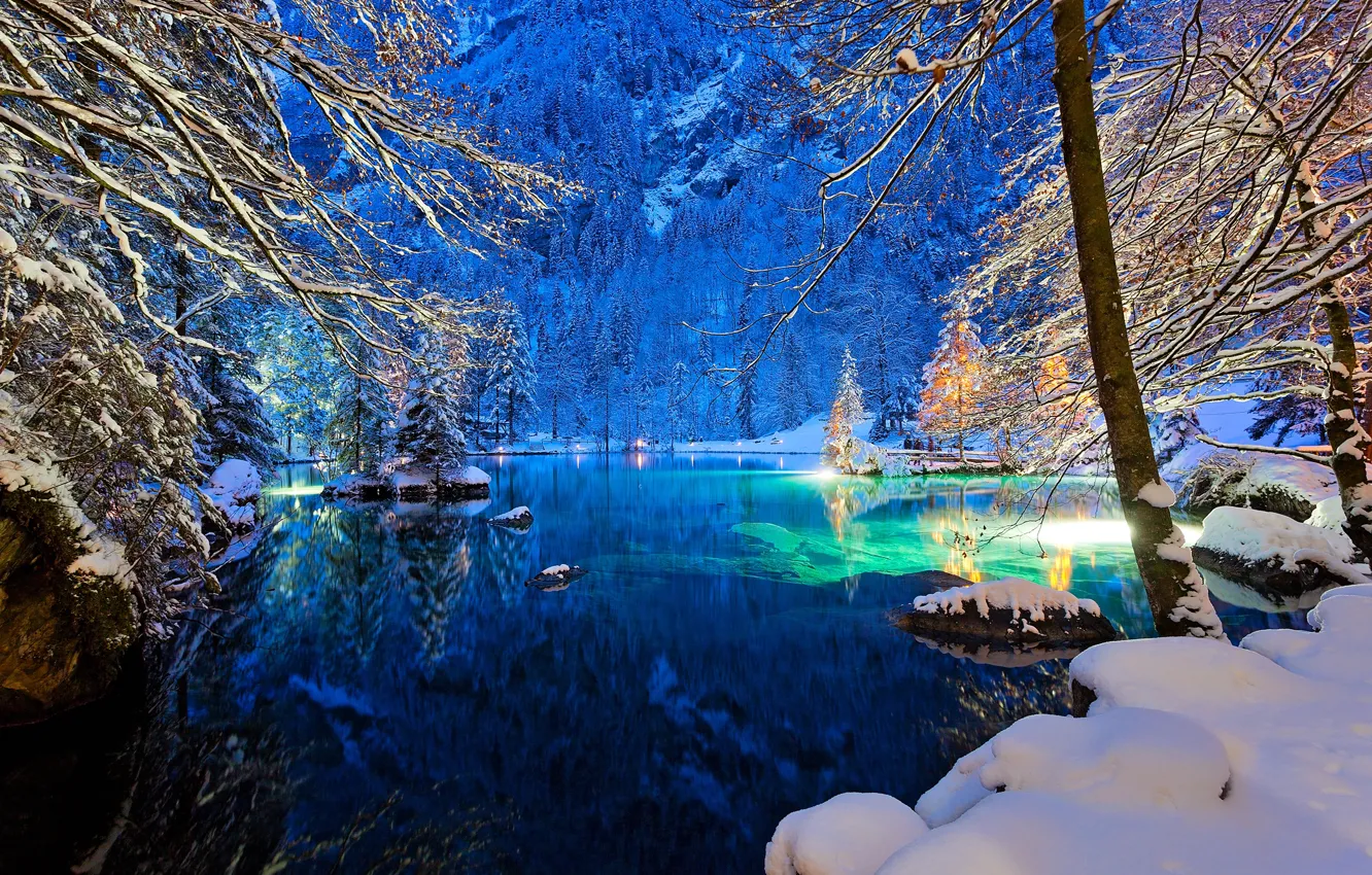Photo wallpaper winter, forest, snow, trees, branches, lights, lake, blue