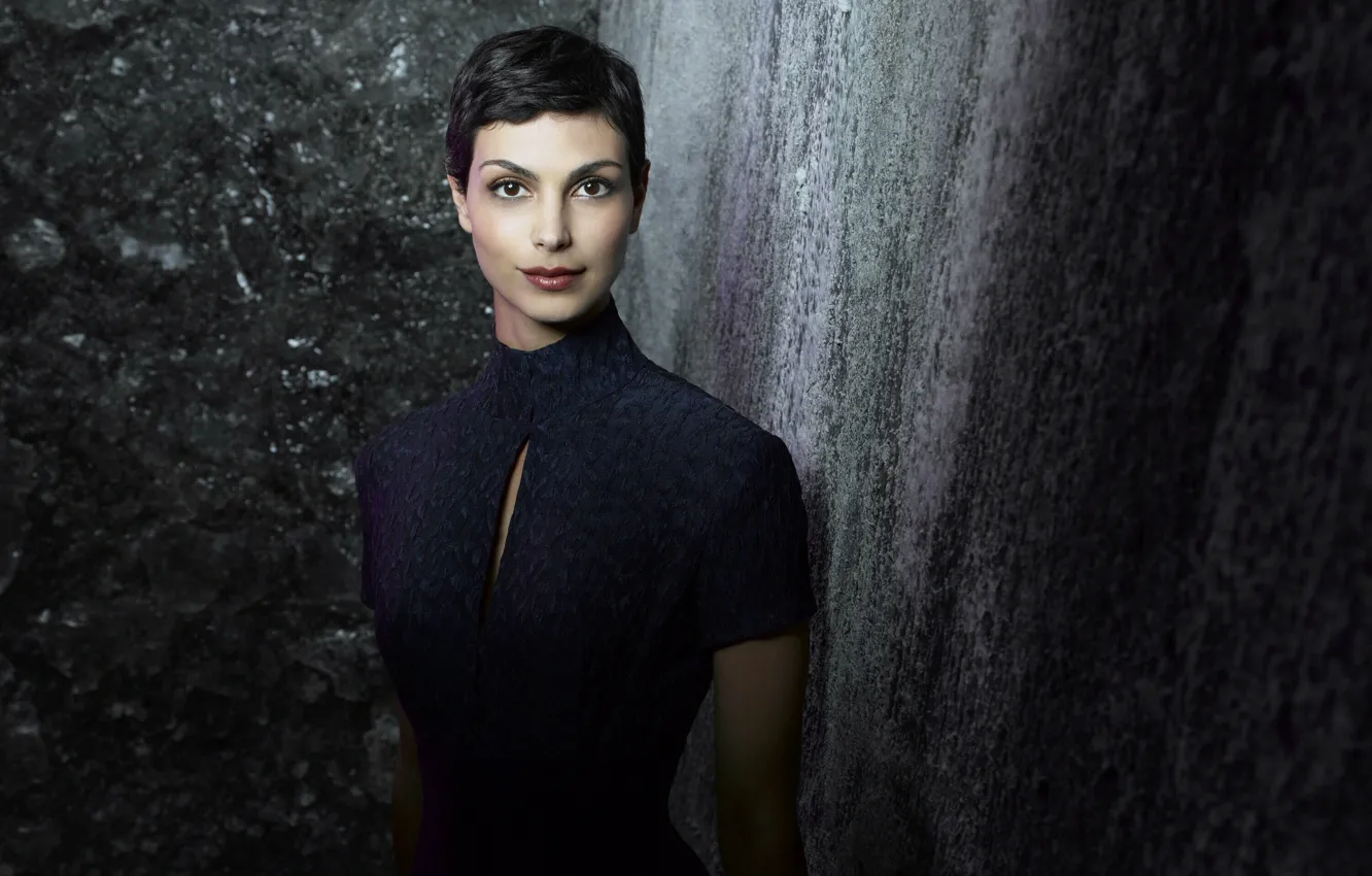 Photo wallpaper look, pose, Morena Baccarin, makeup, figure, actress, pose, actress