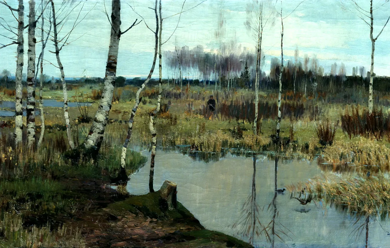 Photo wallpaper the sky, water, trees, bird, people, swamp, duck, picture