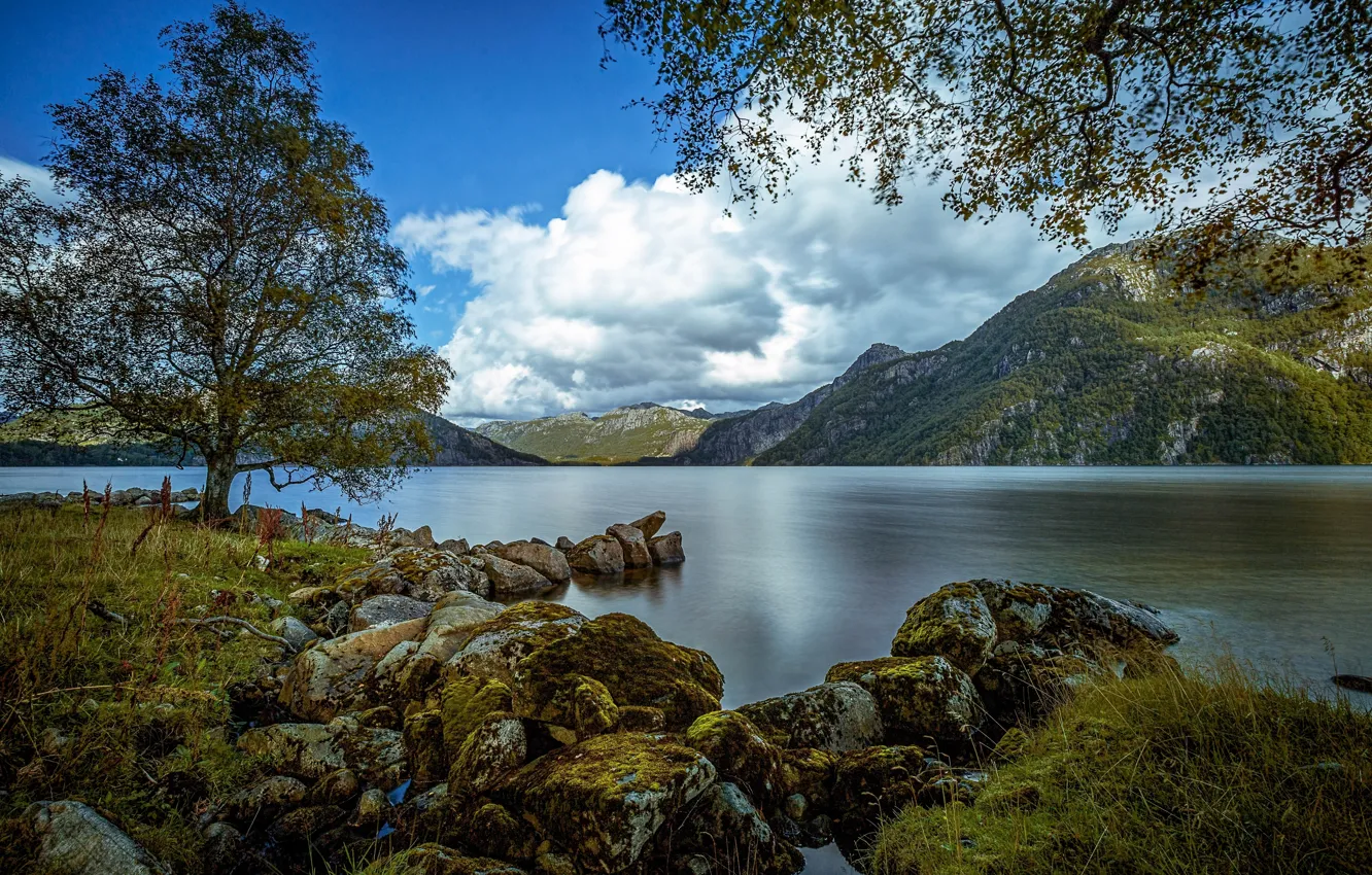 Photo wallpaper mountains, lake, stones, tree, Norway, Norway, Rogaland, Rogaland