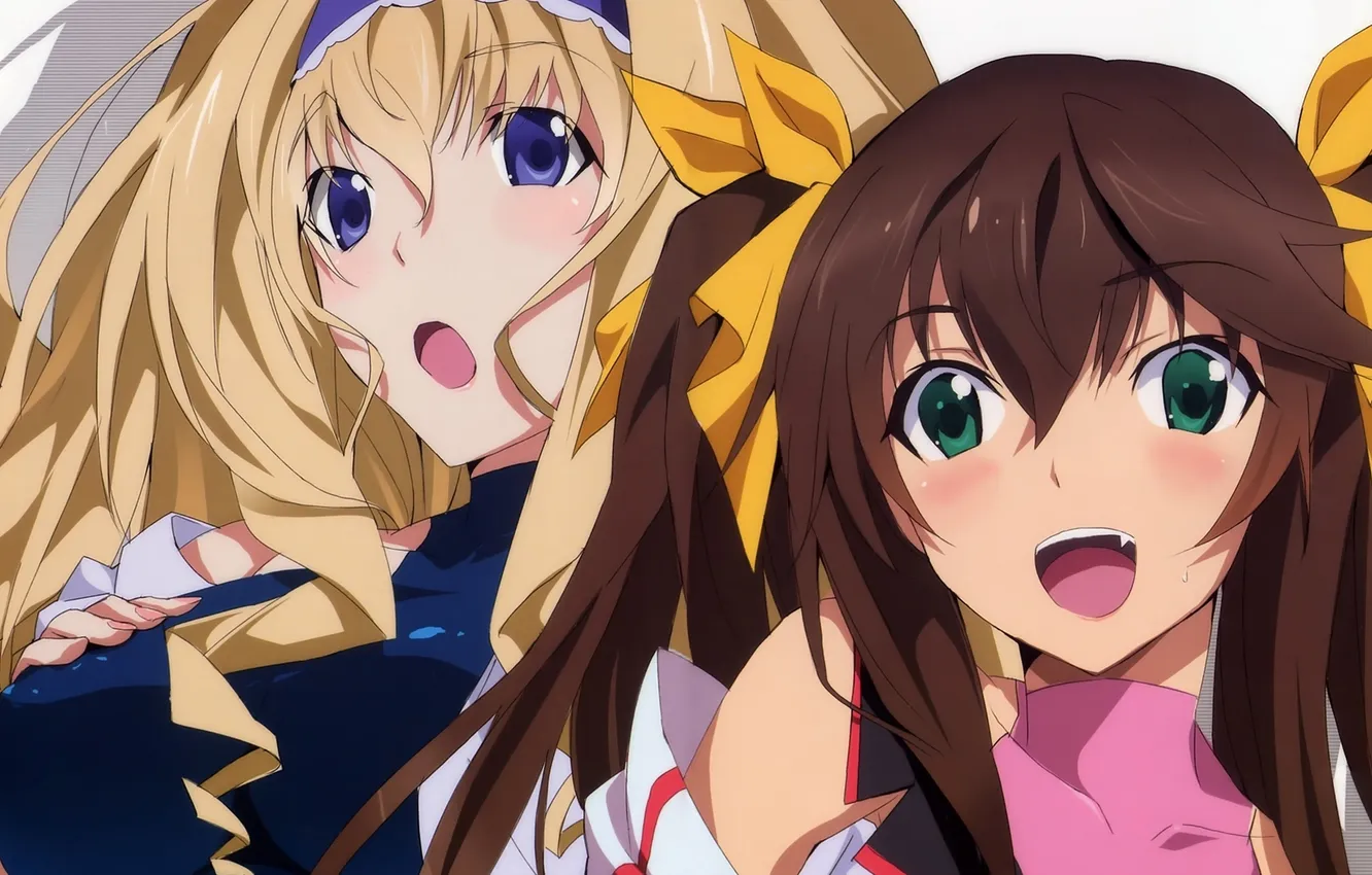 Photo wallpaper Infinite Stratos, Lingyin Huang, Cecilia Alcott