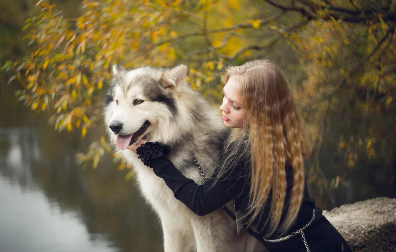 Photo wallpaper autumn, look, girl, trees, nature, pose, each, foliage