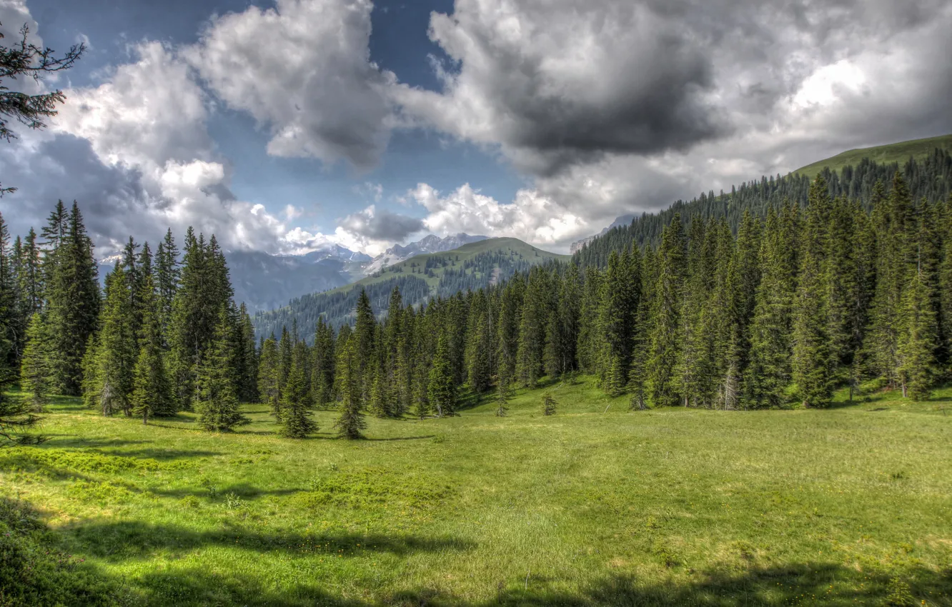 Photo wallpaper forest, clouds, nature, glade, HDR