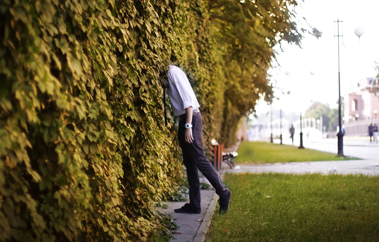 Photo wallpaper street, guy, wild grapes