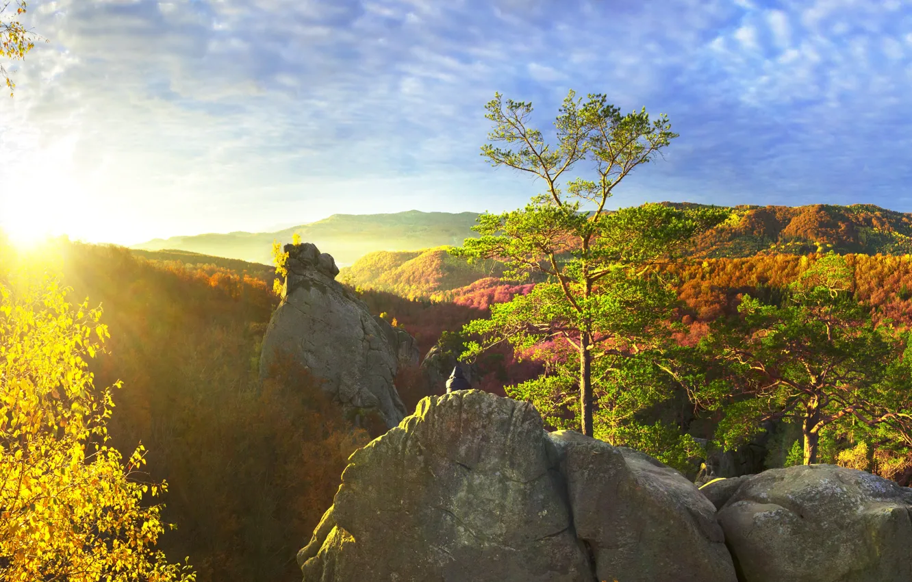 Photo wallpaper autumn, forest, the sky, the sun, clouds, trees, mountains, stones