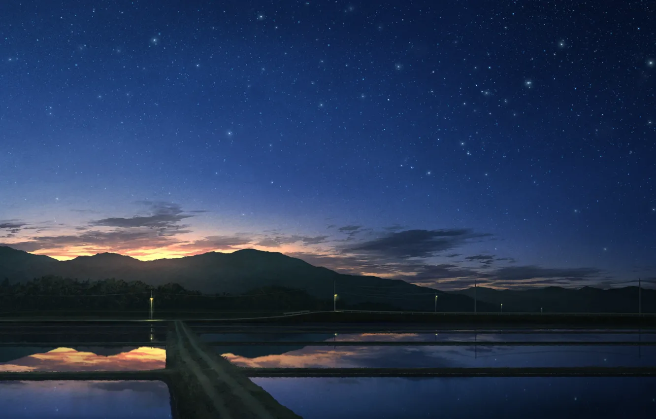 Photo wallpaper sunset, nature, rice fields, star sky
