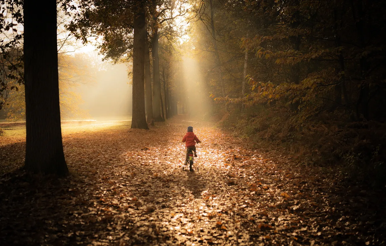 Photo wallpaper autumn, bike, girl