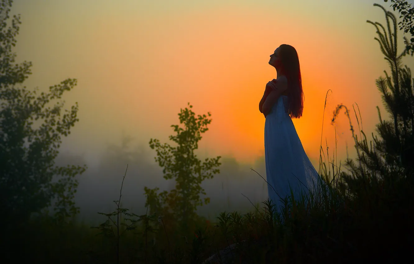 Photo wallpaper girl, nature, dawn, morning, Dmitry Mozharov