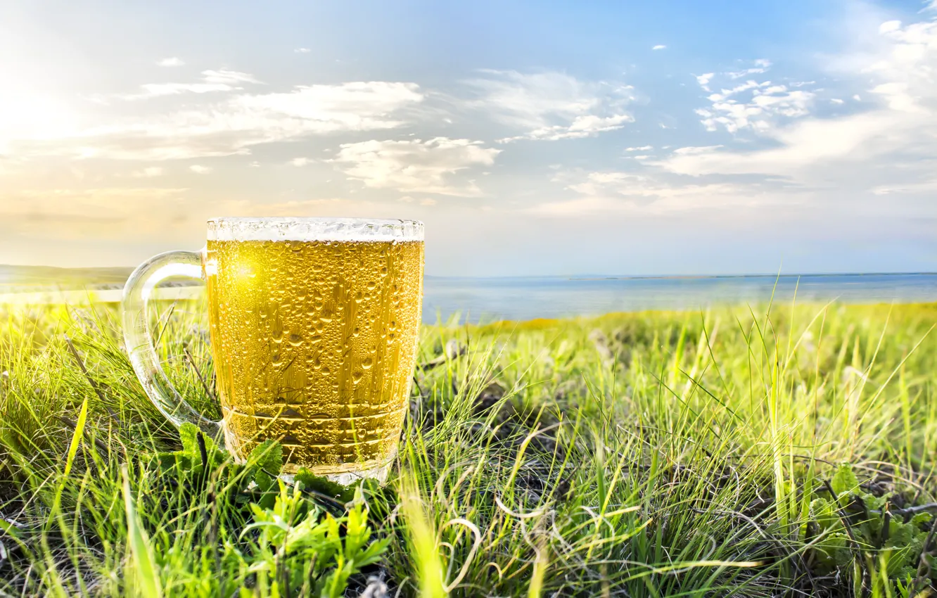 Photo wallpaper The sky, Nature, Mug, Beer, Ear, Field, Dishes, Food