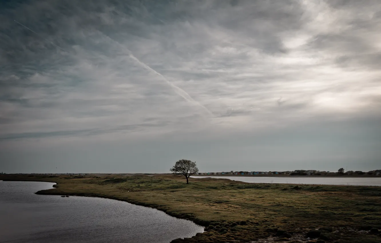 Photo wallpaper grass, clouds, light, trees, lake, home, light, grass