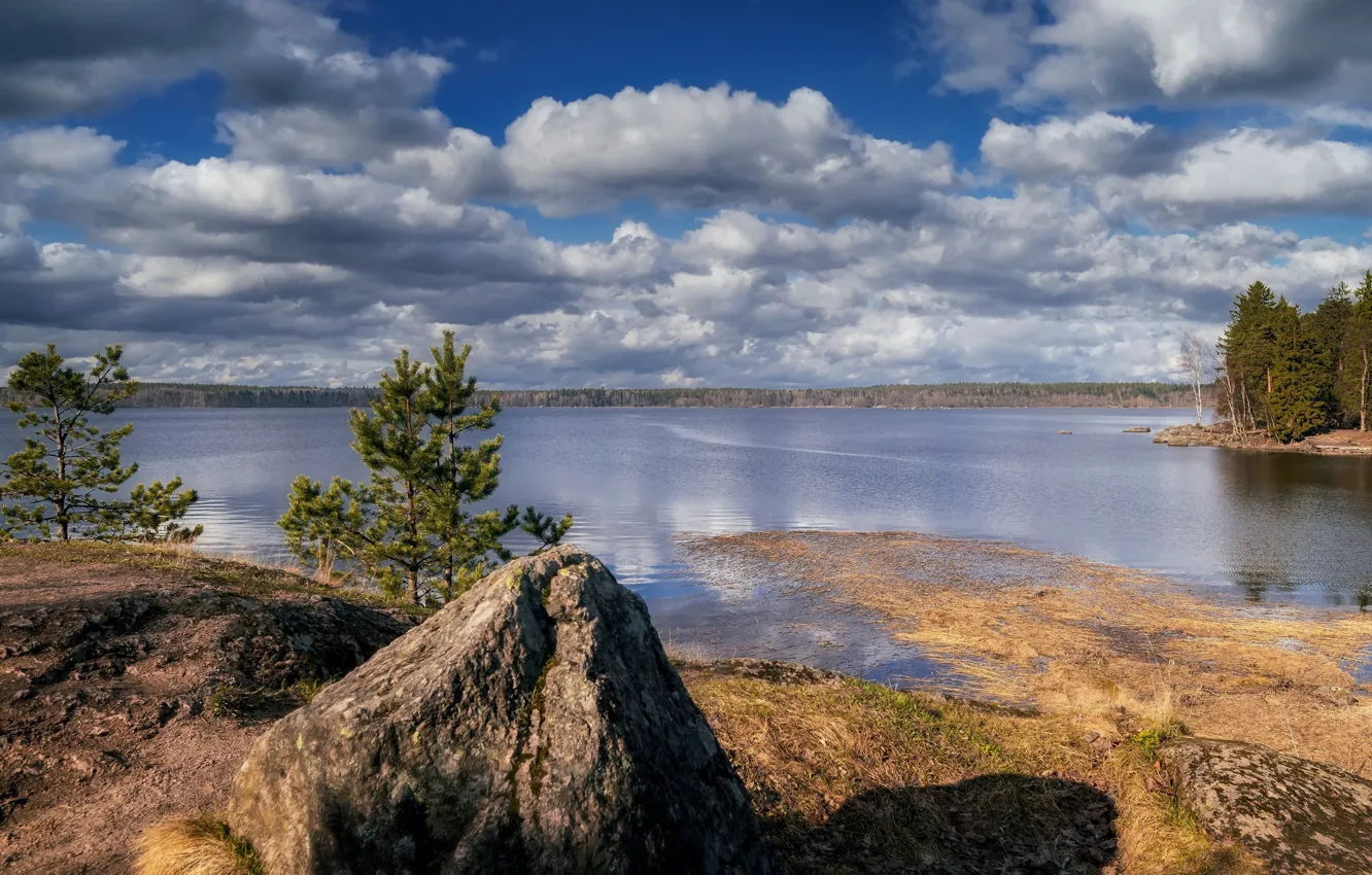 Photo wallpaper lake, shore, stone, pine