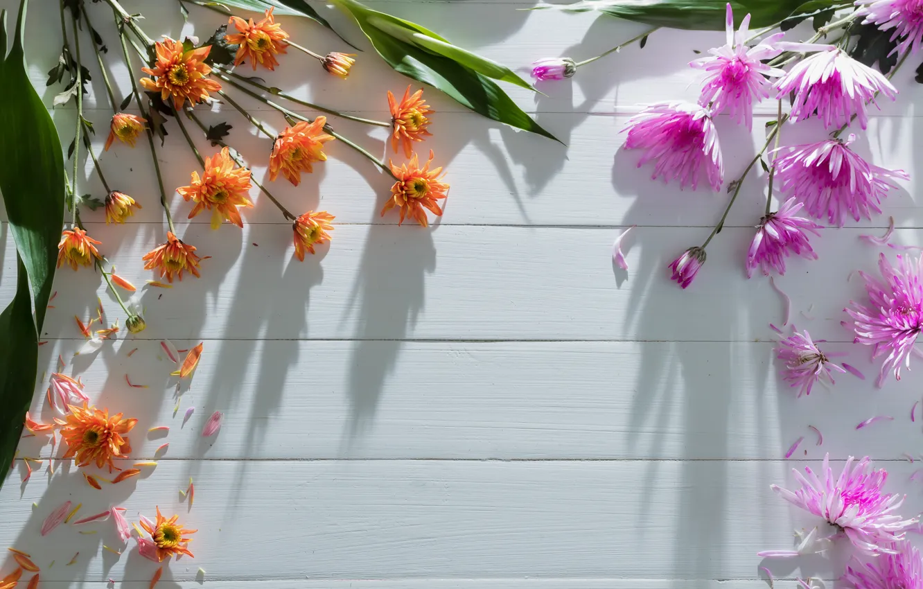 Photo wallpaper flowers, colorful, chrysanthemum, heart, flowers, romantic