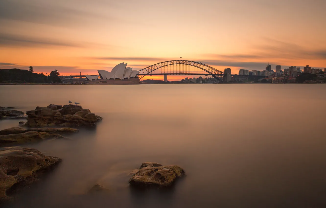 Photo wallpaper bridge, night lights, Australia, Sydney, night lights
