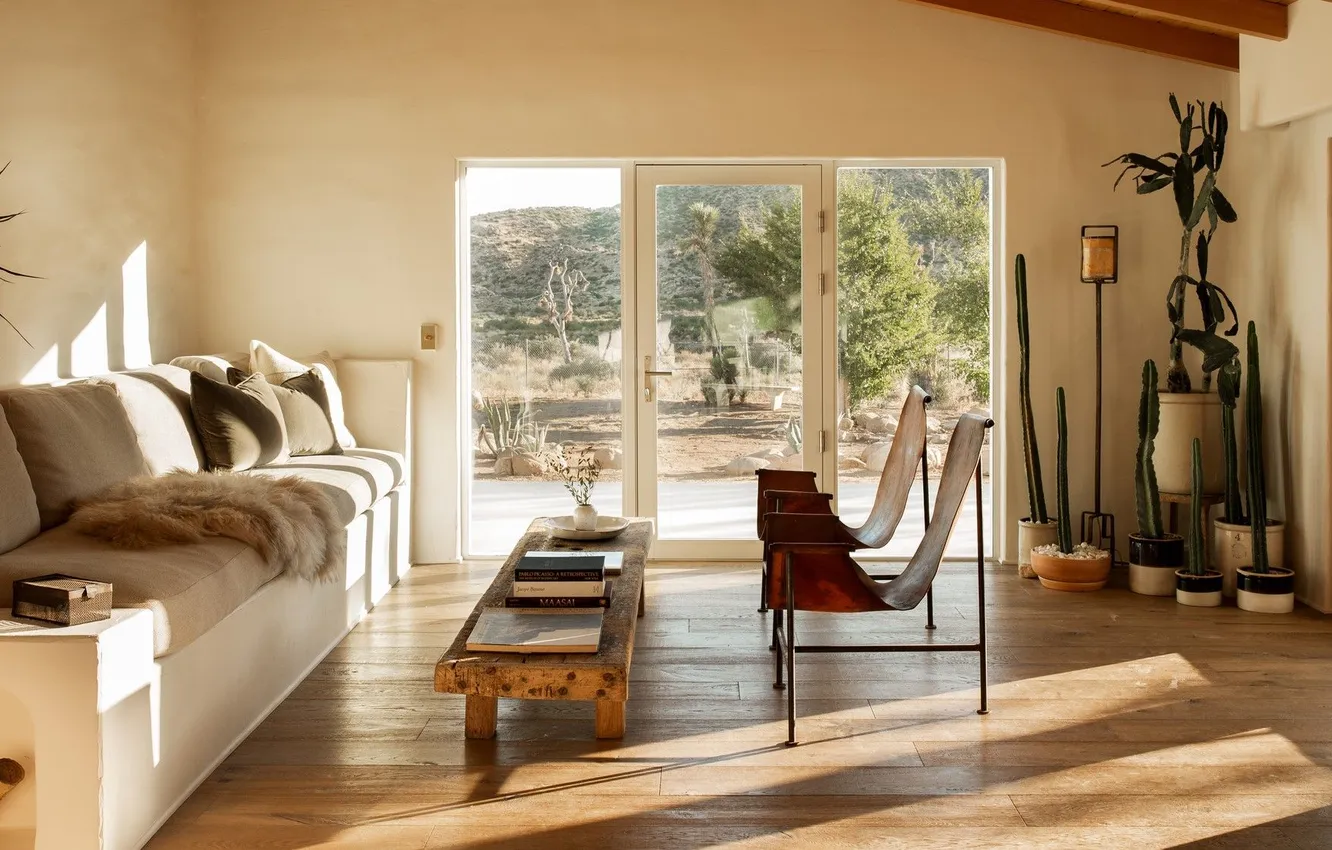 Photo wallpaper design, style, room, Villa, interior, chair, cactus, America