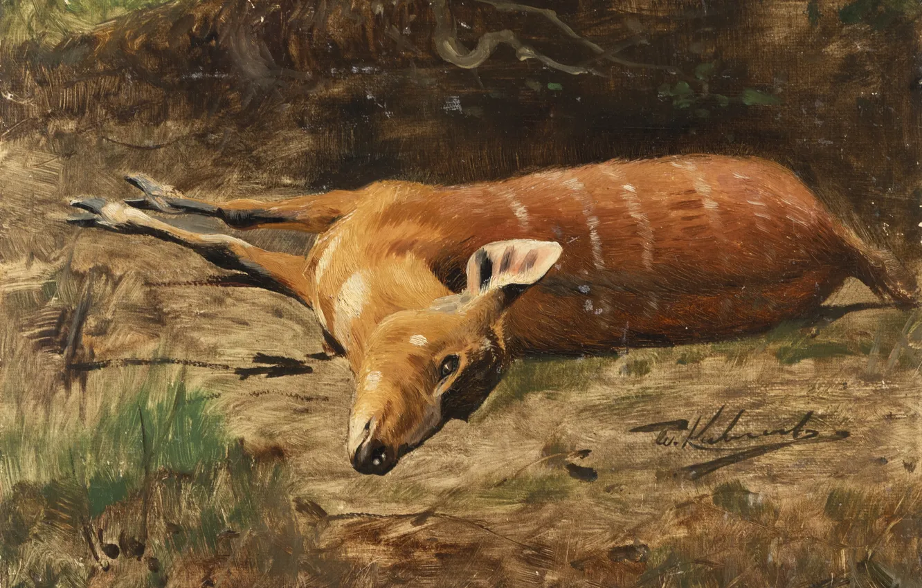 Photo wallpaper Picture, Friedrich Wilhelm Kunert, Friedrich Wilhelm Kuhnert, Wilhelm Kunert, Wilhelm Kuhnert, German painter, Female bushbuck, …