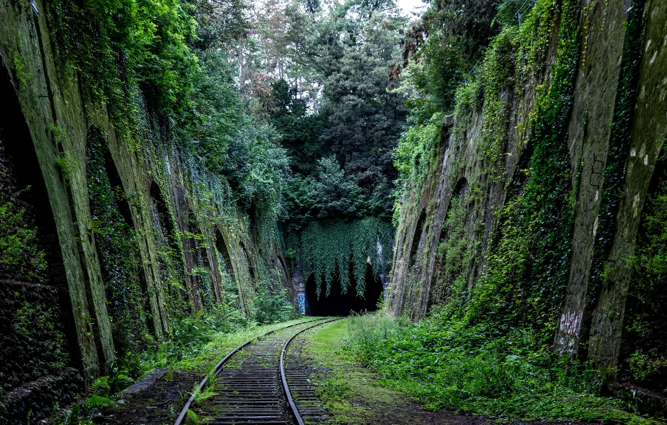 Photo wallpaper forest, trees, nature, rails, the tunnel, railroad