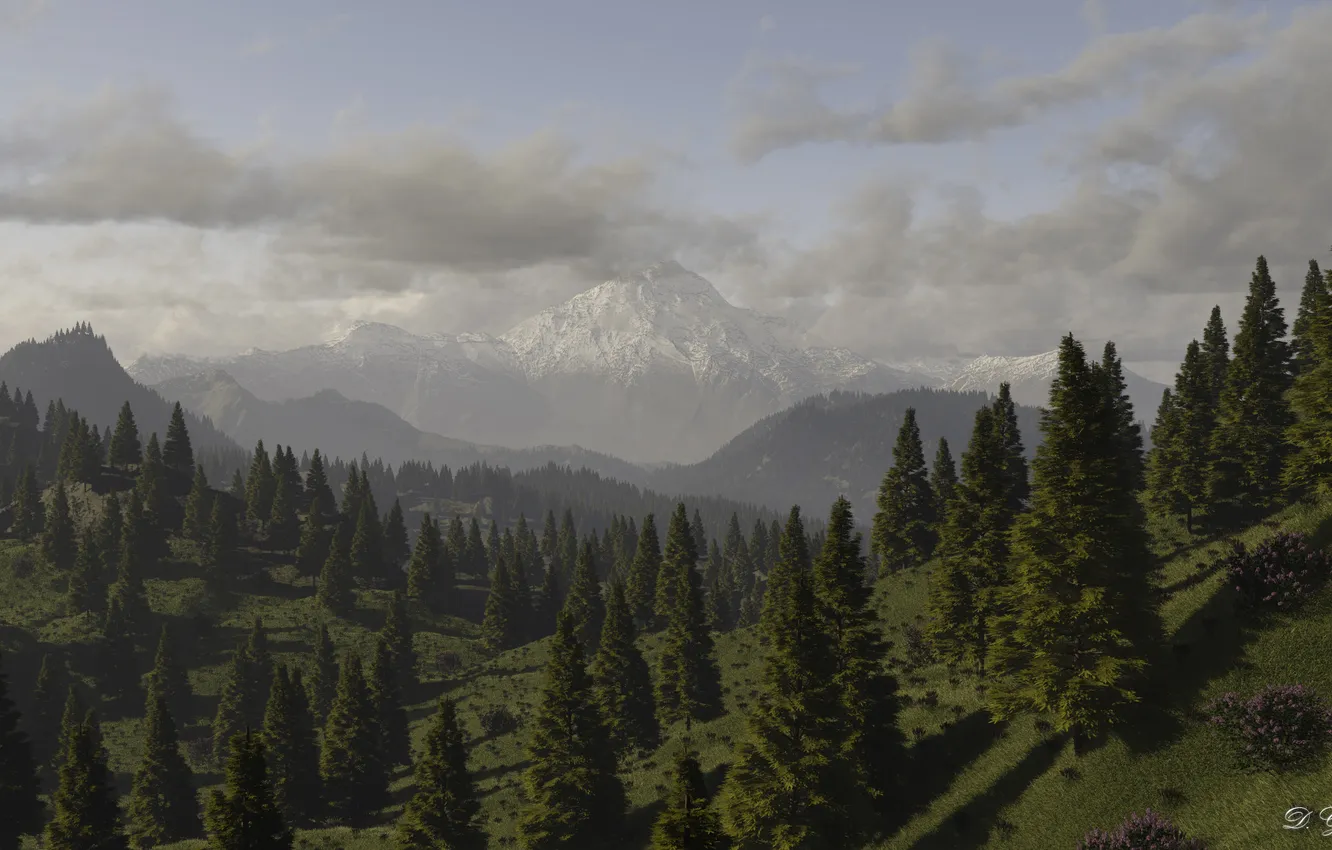 Photo wallpaper forest, mountains, clouds, nature, hills, view, art, the bushes