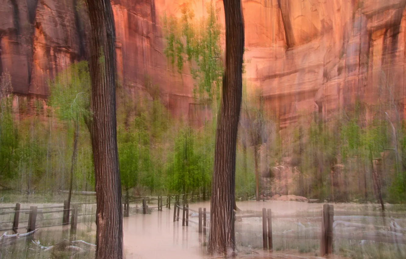 Photo wallpaper trees, mountains, abstraction, rocks, touch