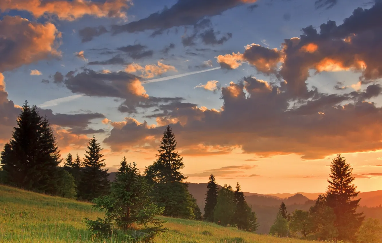 Photo wallpaper clouds, trees, mountains, dawn