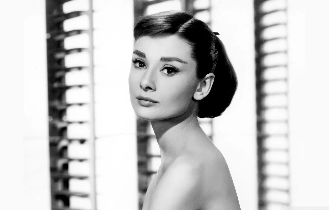 Photo wallpaper actress, actress, audrey hepburn, Audrey Hepburn