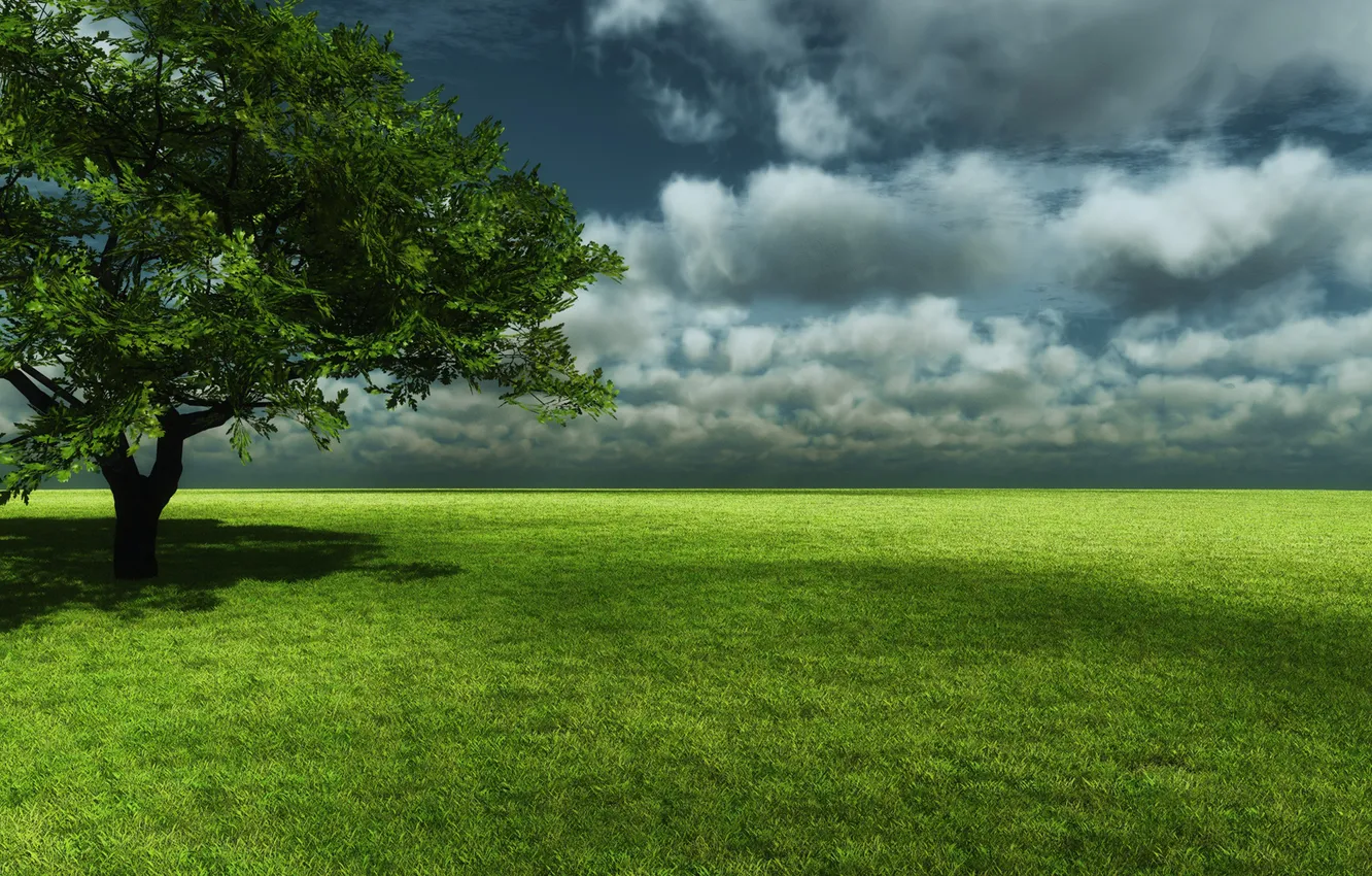 Photo wallpaper the sky, clouds, trees, glade, shadow