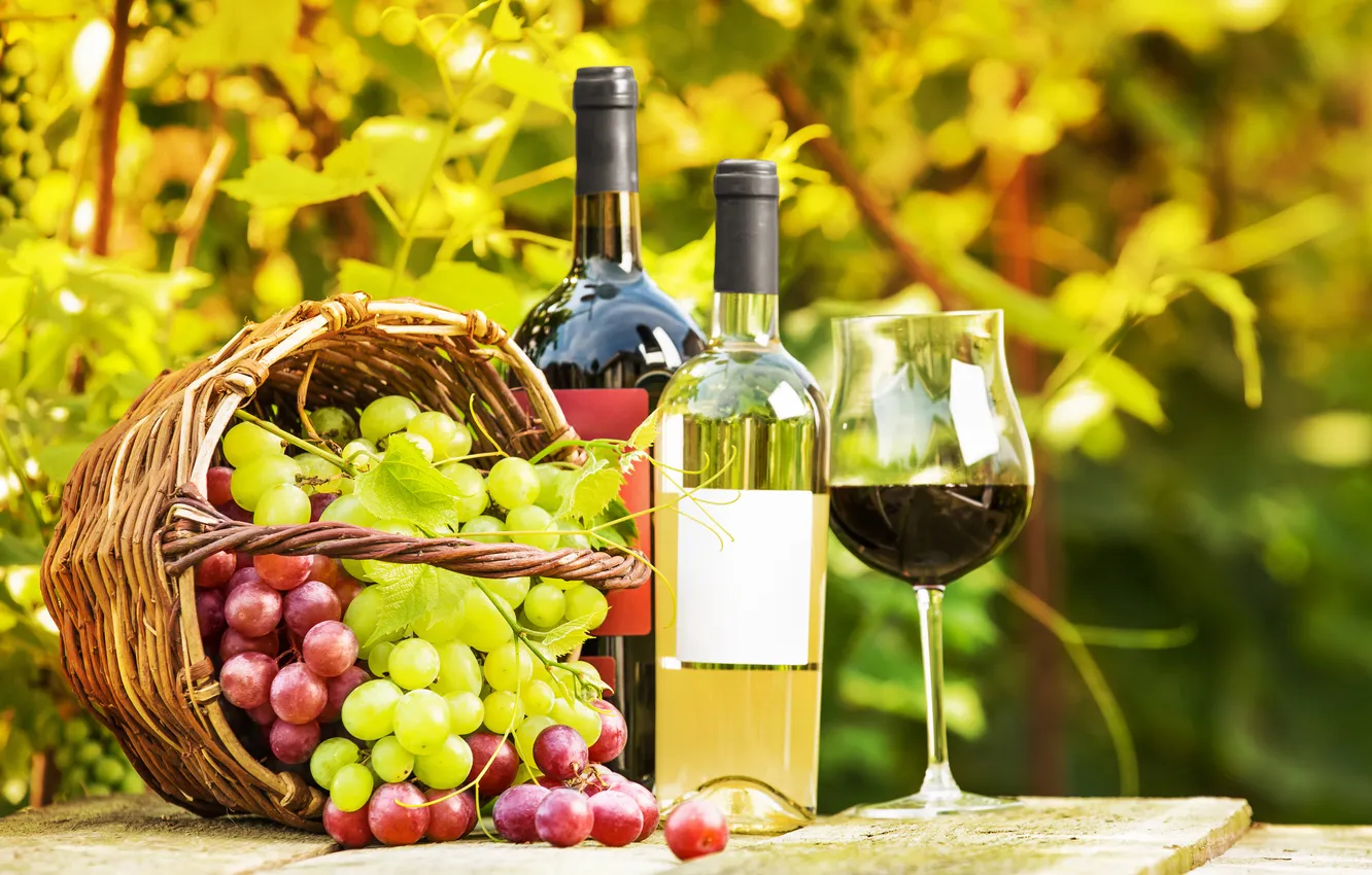 Photo wallpaper greens, table, wine, basket, glass, bottle, garden, grapes