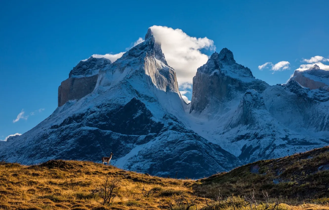 Photo wallpaper landscape, mountains, Lama