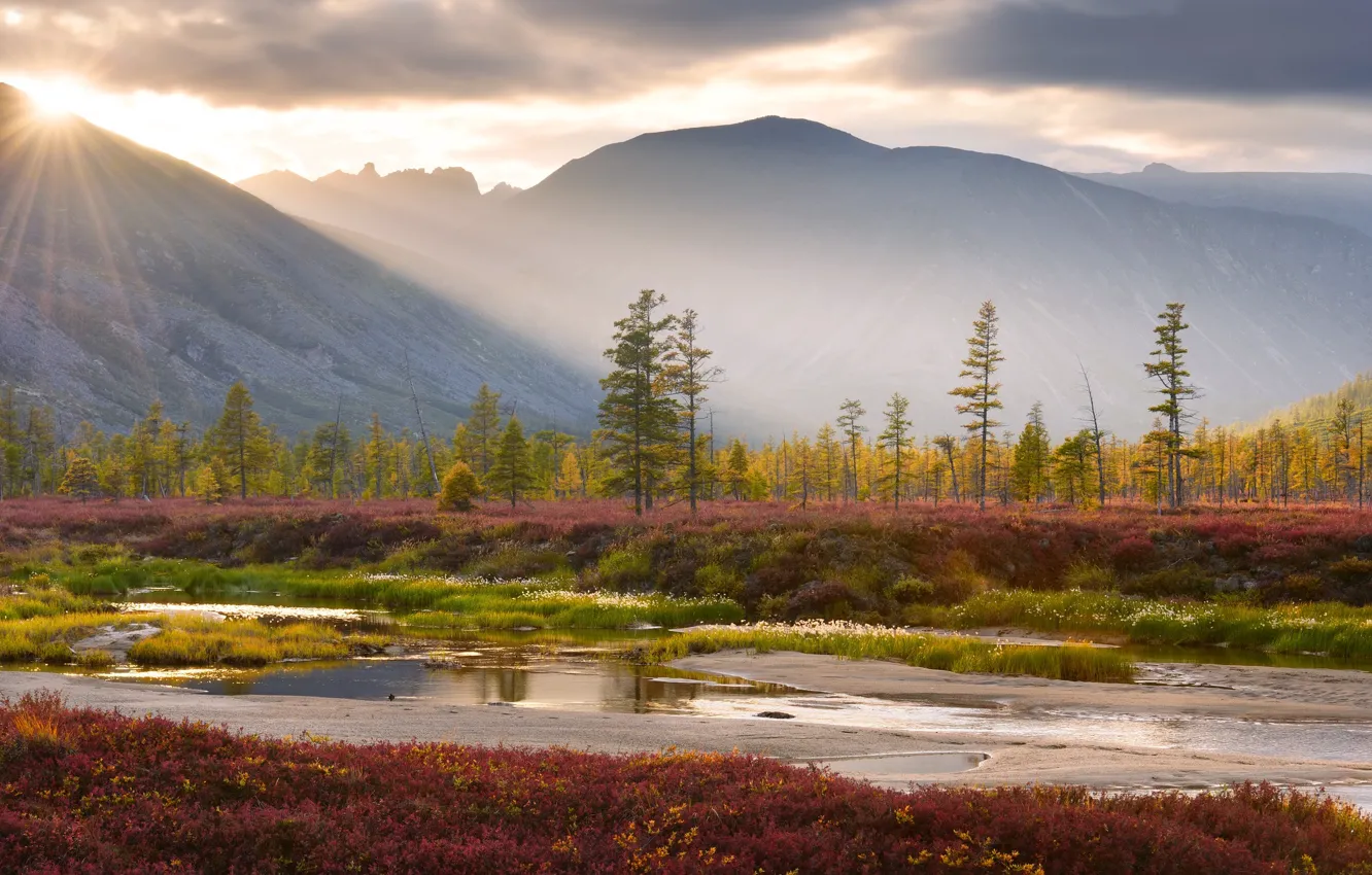 Photo wallpaper autumn, forest, the sun, rays, mountains, fog, shore, vegetation