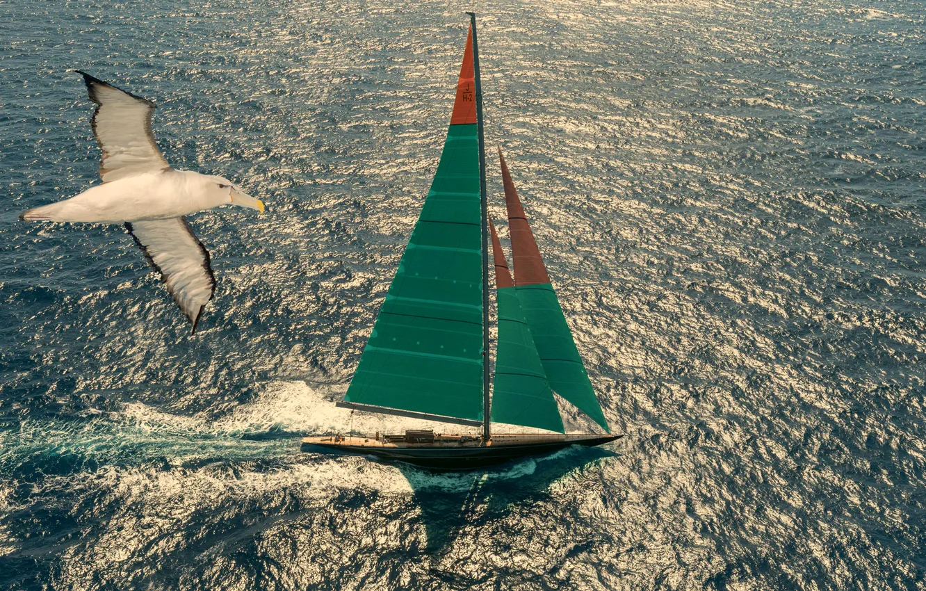 Photo wallpaper sea, seagulls, yacht