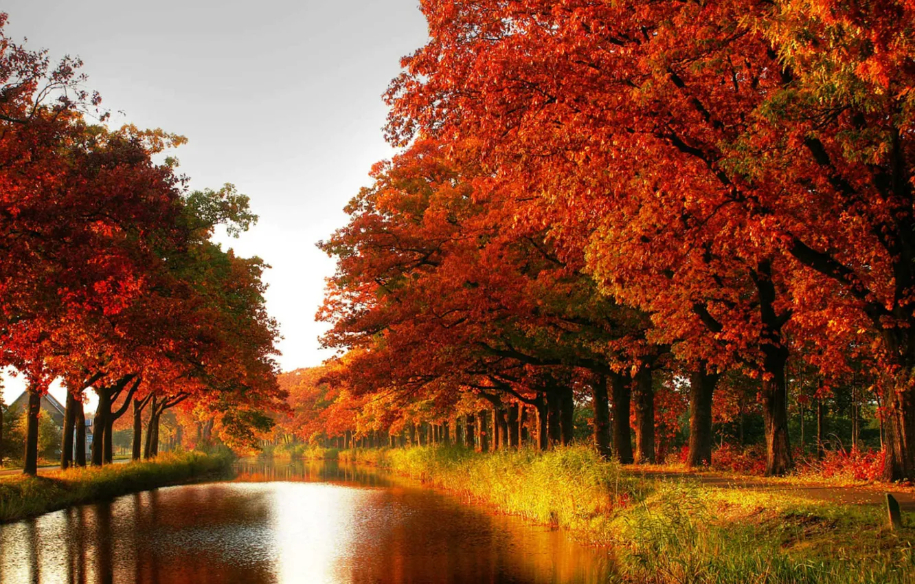 Photo wallpaper autumn, pond, Park