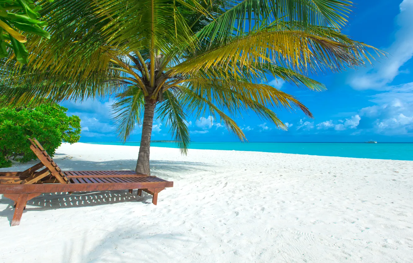 Photo wallpaper sand, sea, wave, beach, summer, the sky, palm trees, shore